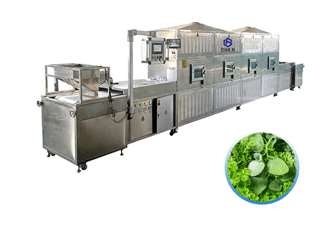 Microwave sterilization and drying machine for herb